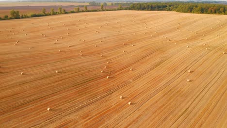 shooting from a quadcopter flying over the golden field with roll bales of wheat straw.