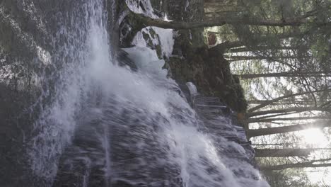 vertical video waterfall in the forest with ice formations - - rosecrans falls