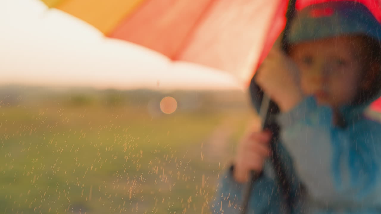 소년은 우산 에서 비로부터 피난처를 찾습니다. 비가 오는 공원에서 우산을 돌리는 아이의 시야는 포획됩니다.