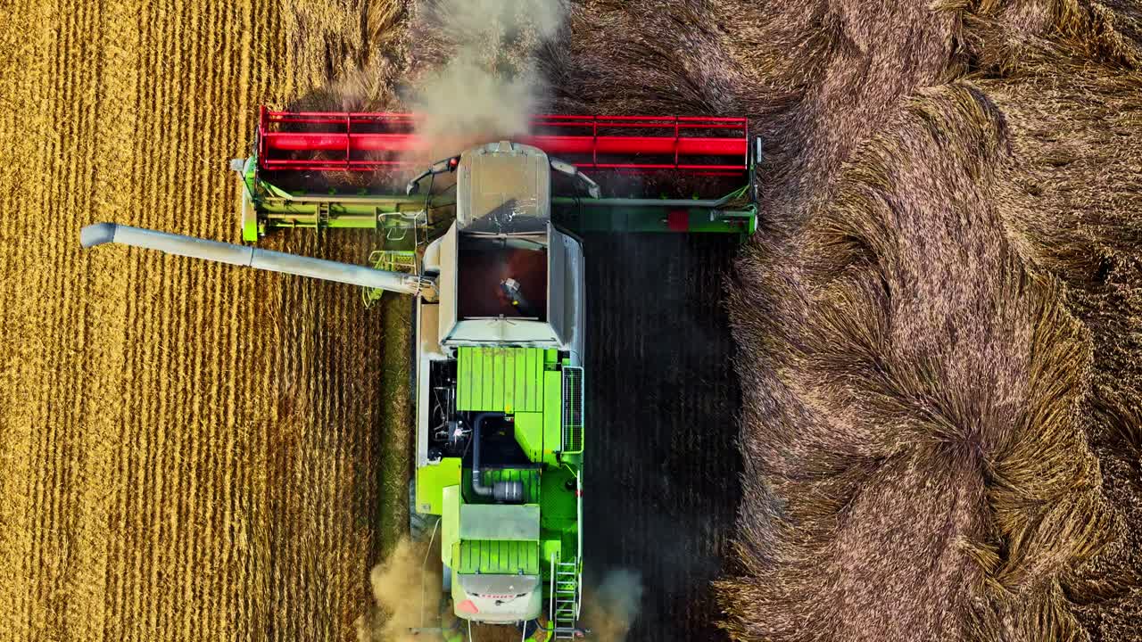 Top down aerial tracking shot follows a combine harvester working in a golden field, showing the process of cutting crops and patterns in the farmland from above