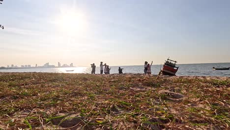 people enjoying a sunny day at beach