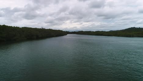 Aerial-view-over-Tweed-River-mangroves-and-green-areas,-Northern-New-South-Wales,-Australia