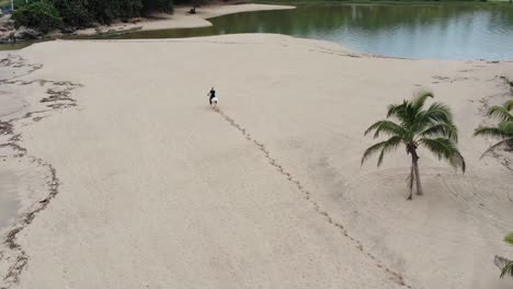 Luftaufnahmen-Eines-Mannes,-Der-An-Einem-Strand-Auf-Einem-Pferd-Reitet