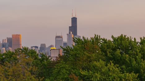 Timelapse-De-Chicago-Mirando-Al-Sur-Hacia-La-Torre-Sears-Con-árboles-En-Primer-Plano