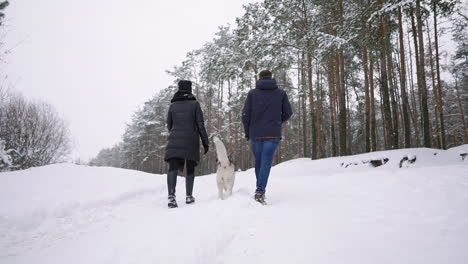 Liebevolle-Männer-Und-Frauen,-Die-Mit-Sibirischen-Huskys-Im-Winterwald-Spazieren-Gehen,-Lächeln-Und-Einander-In-Zeitlupe-Anschauen,-Glückliche-Familie.-Der-Blick-Von-Hinten