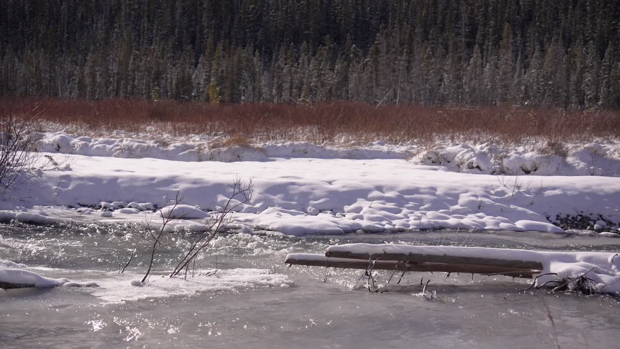 River running through the valley in winter. Kananaskis