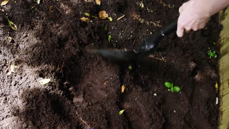 Person-mixing-soil-with-shovel-in-garden