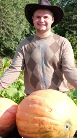 cheerful farmer happily poses with his collection of large pumpkins during the autumn harvest season cheerful farmer happily poses with his collection of large pumpkins during the autumn harvest season