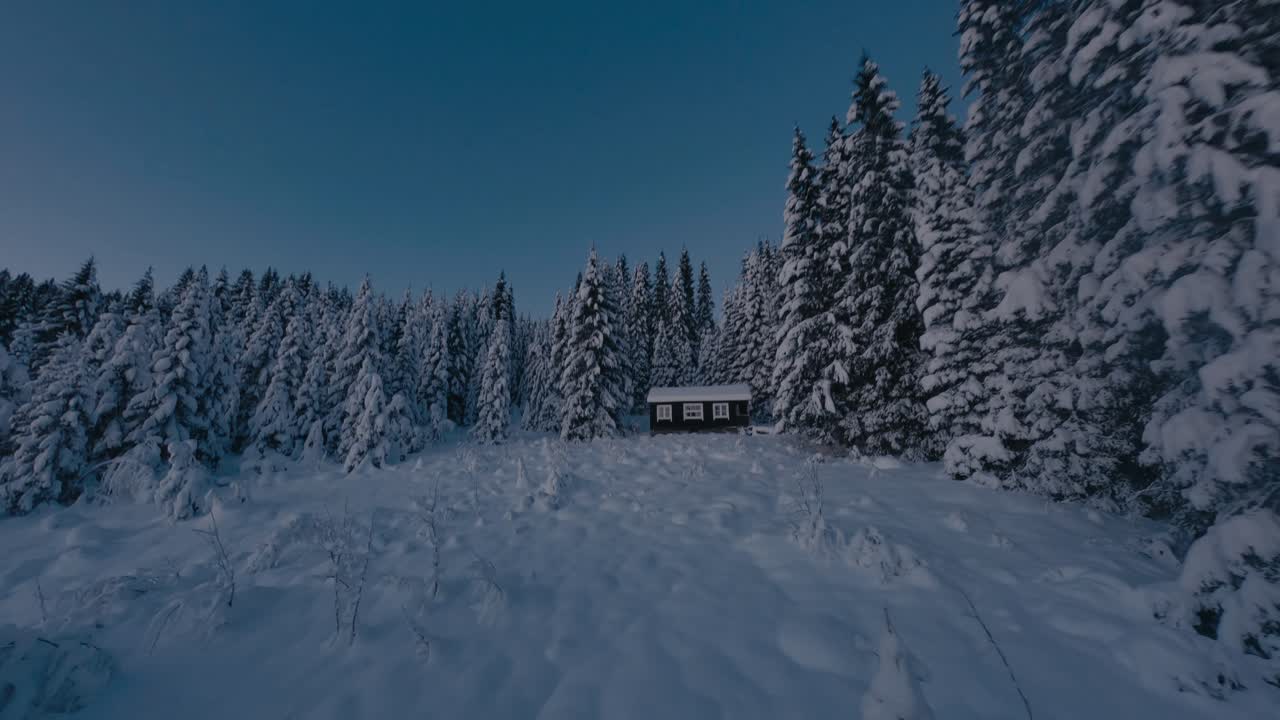 кинематографический полет между заснеженными елями на холме с хижиной туриста утром после снегопада в норвегии