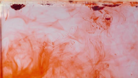 red dye diffusion in water