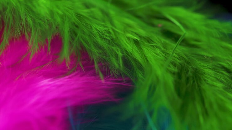 Bright pink and green bird feathers softly blowing in the wind