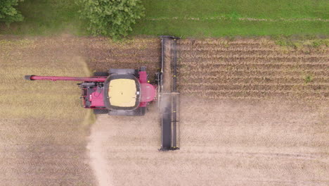 combine harvester gathering soybean crops, aerial top down