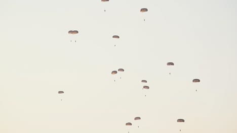 a thrilling moment as paratroopers drop during the uae’s military showcase