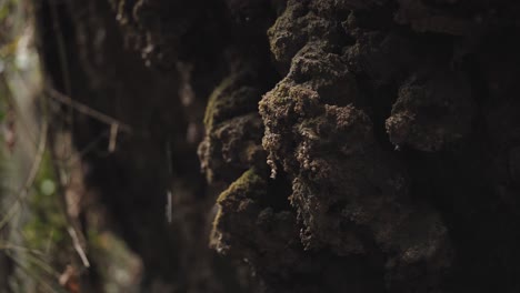 Close-up-of-falling-water-drops-on-a-rock-inside-a-cave