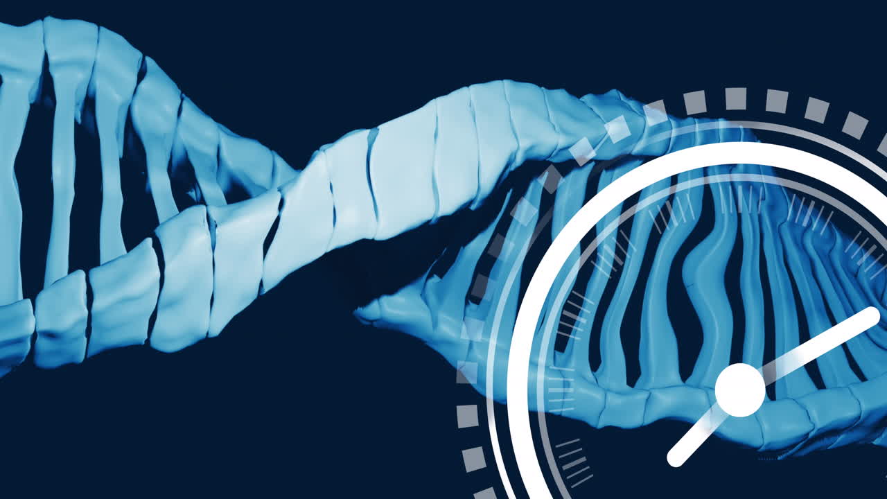 파란색 배경에 회전하는 dna 구조 위에 틱하는 시계 아이콘의 애니메이션