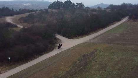 Aerial---Girl-Riding-Horse-Walking-In-The-Forest