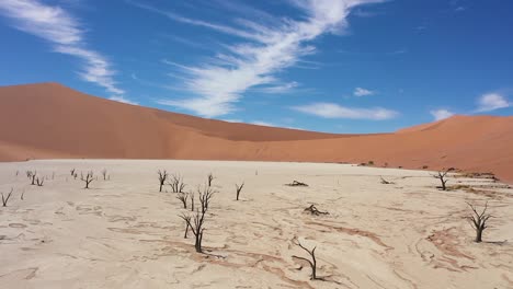 Close-up-to-max-view-tracking-shot-of-the-Deadvlei-in-the-Namibian-desert-on-a-sunny-day