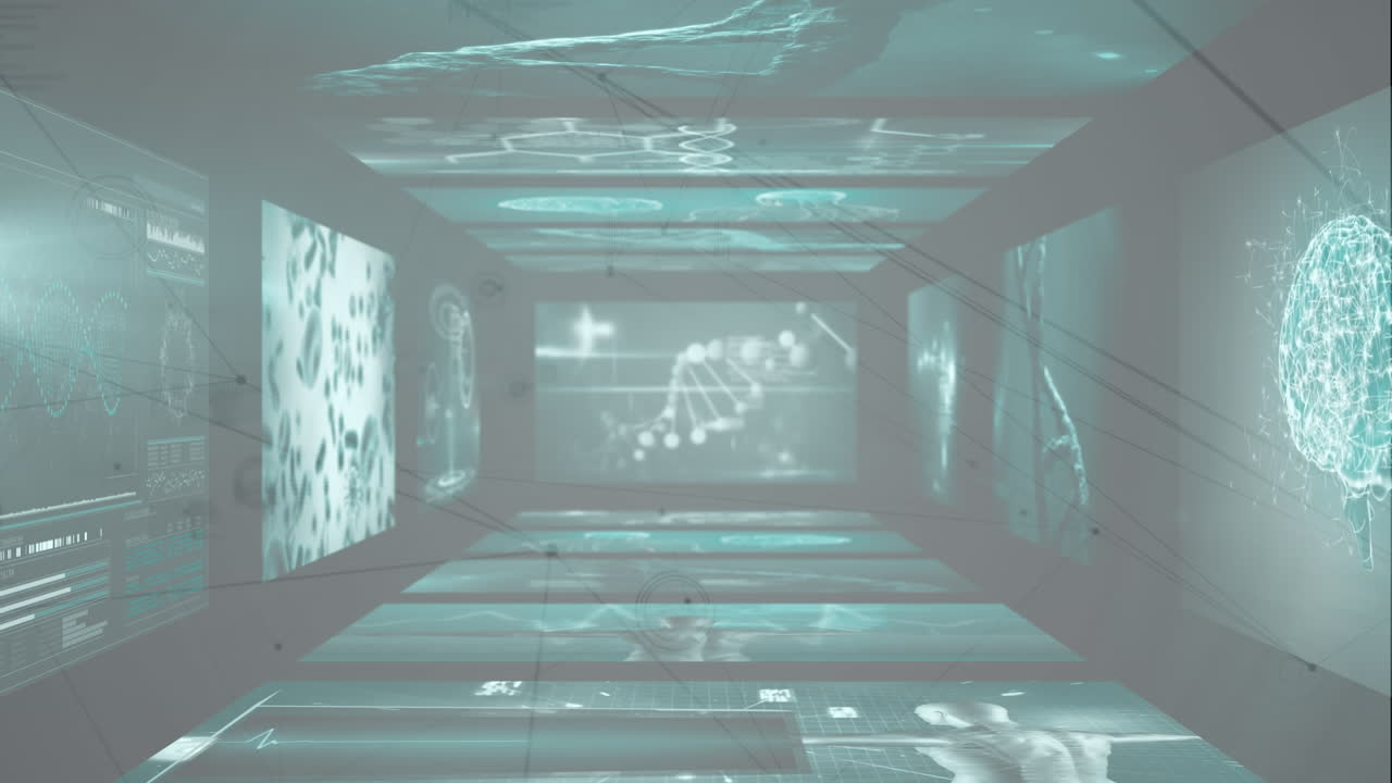 데이터 프로세싱을 통한 연결 네트워크의 애니메이션