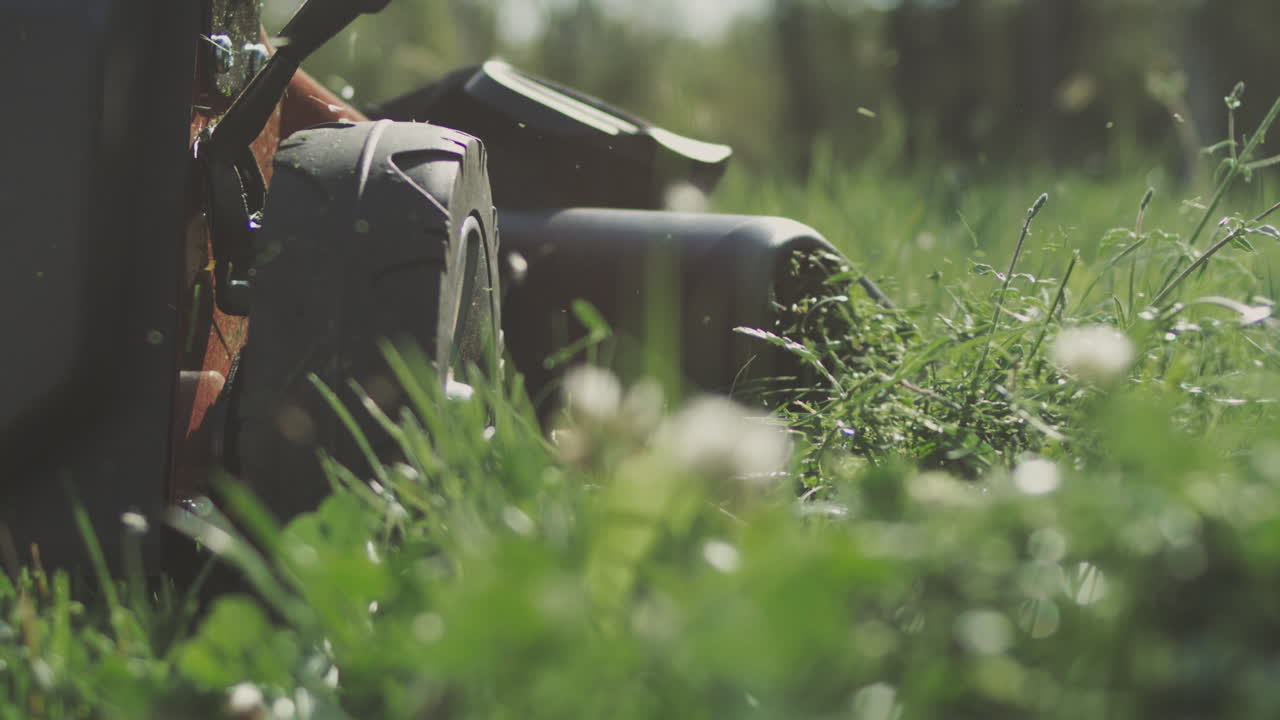 정원에서 잔디기