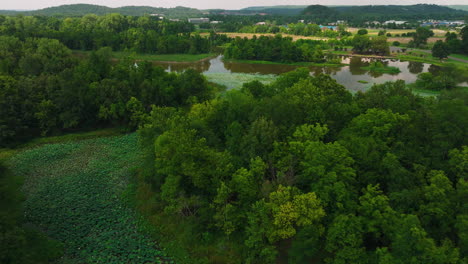 Aerial-View-Of-Wetland-Pond-Surrounded-With-Lush-Vegetation-In-Cook's-Landing-Park,-Little-Rock,-Arkansas,-USA---drone-shot