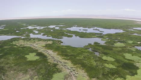 imágenes aéreas de drones, cienega de santa clara, sonora, méxico