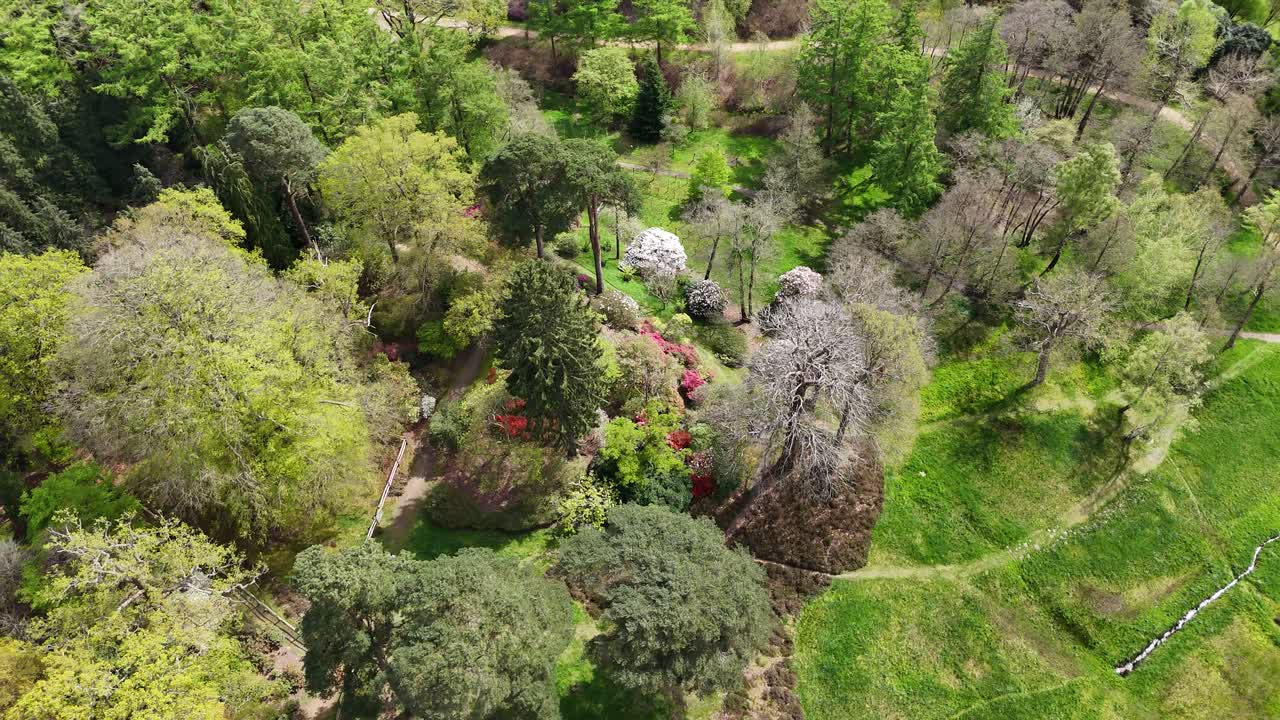 오버헤드 조류 눈 드론 항공 뷰 다채로운 나무 버지니아 물 영국