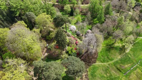 Overhead-birds-eye-drone-aerial-view-colourful-trees-Virgina-waters-UK