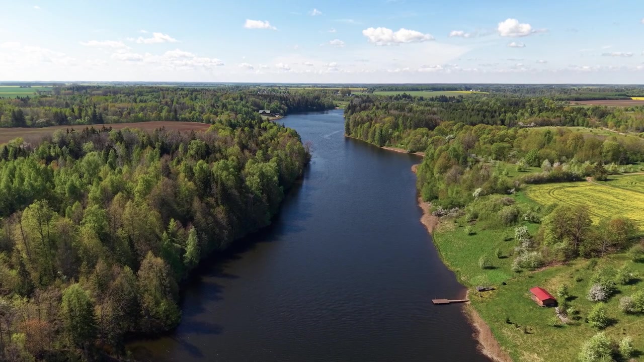 Riprese aeree catturano un fiume tranquillo che serpeggia attraverso fitte foreste verdi e campagna aperta, vibrante di fogliame primaverile sotto la luce diurna intensa, cieli sereni e nuvole leggere