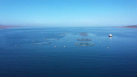 Imágenes-Aéreas-De-Una-Granja-De-Pesca-De-Salmón-En-Noruega