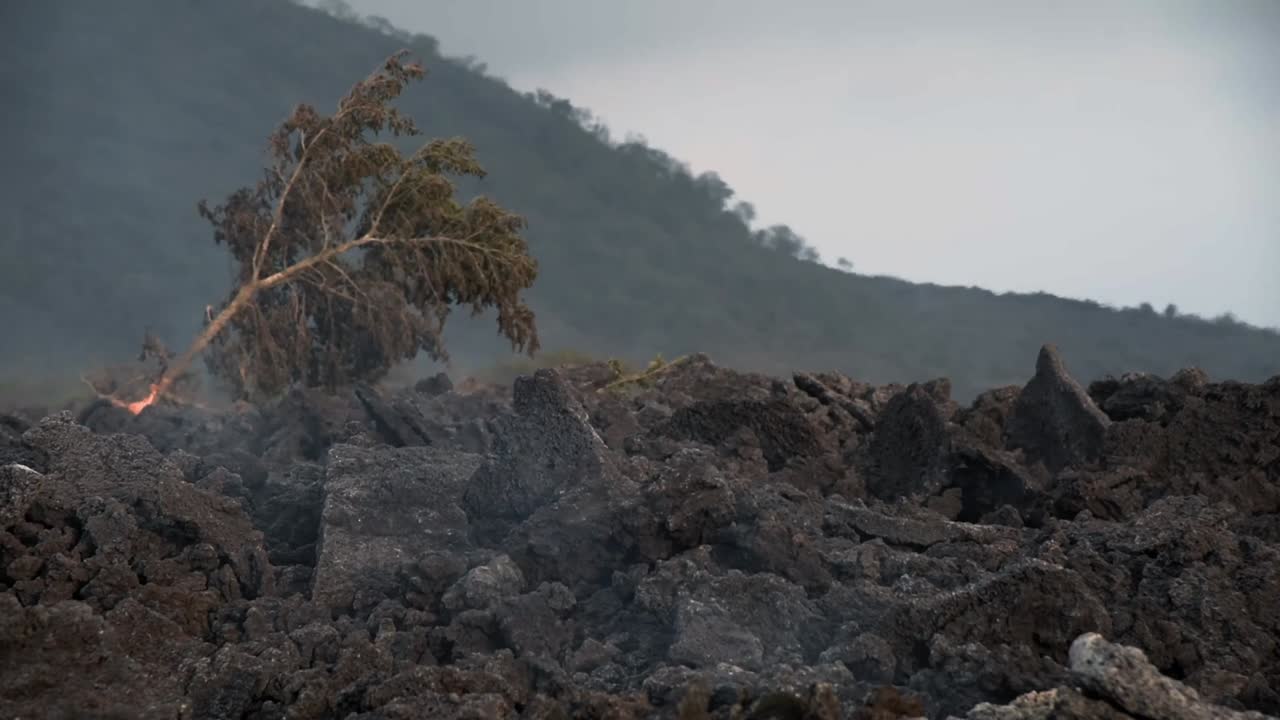 Volcanic Landscape with Smoldering Lava Rocks and a Lone Tree