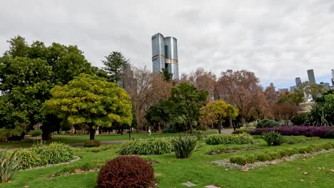 lush greenery with city skyline backdrop