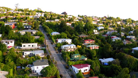 aerial view of houses on a green hillside