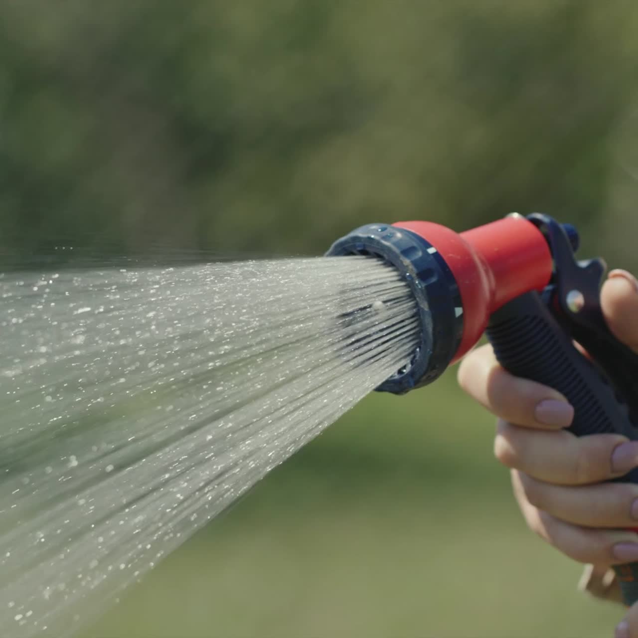 Gardener's hand sprays a garden hose with a diffuser