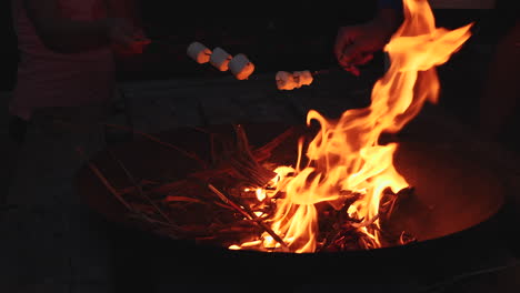 slow motion close up of dad and daughter roasting marshmallows over campfire at night