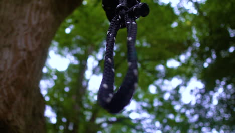 blue knotted rope hang on tree branch against bokeh foliage