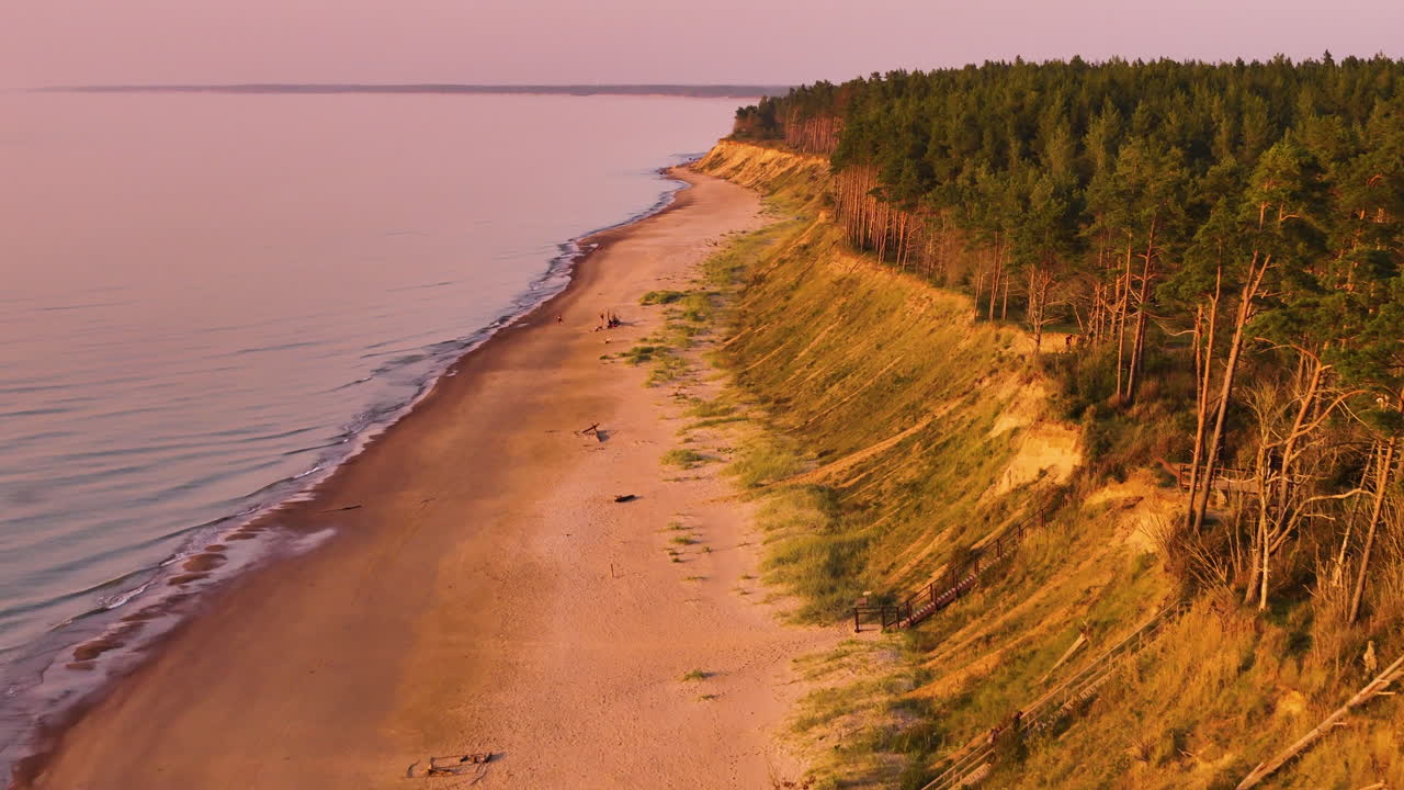 Drone view of golden cliffs, beach, and pine forest during sunset in Jurkalne, Latvia.