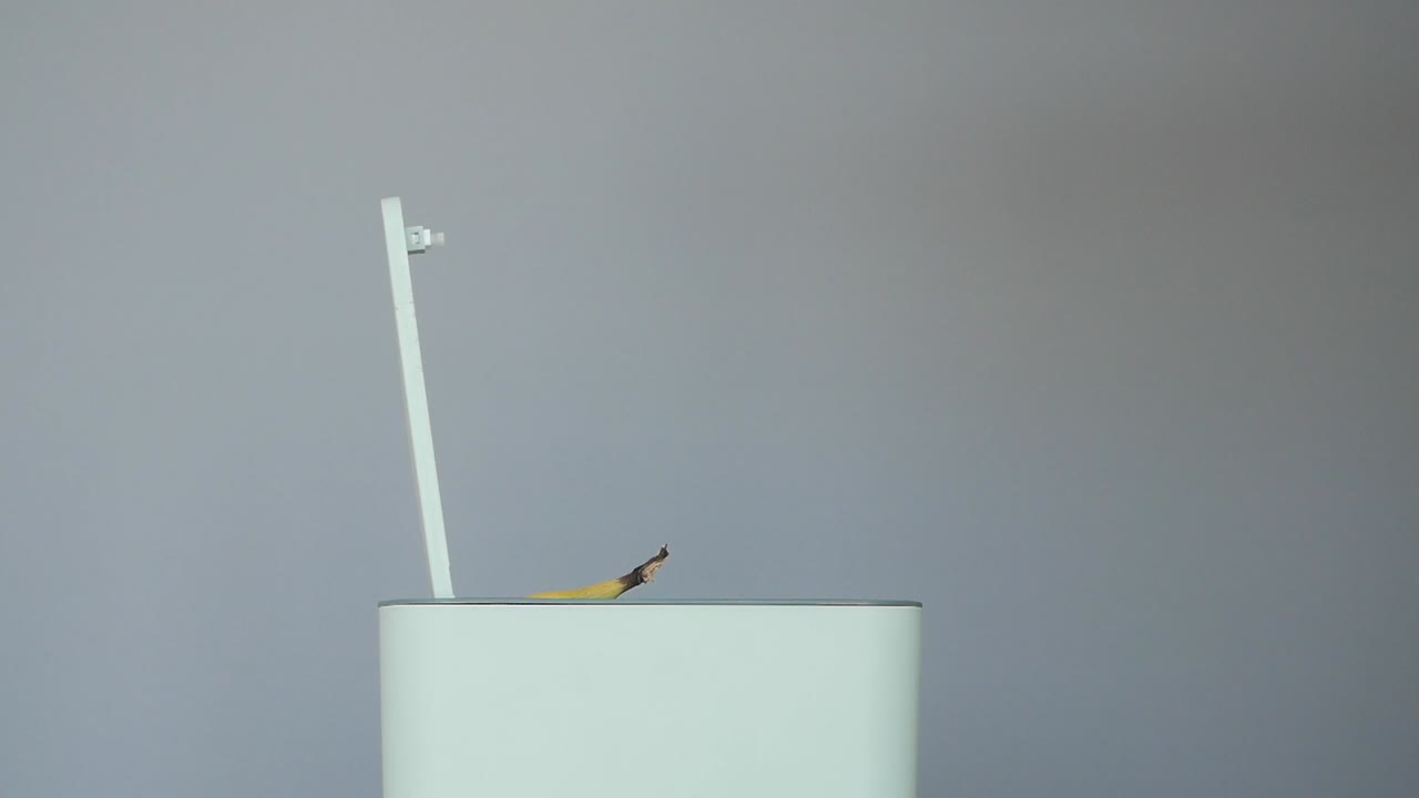 Throwing Away a Rotten Banana