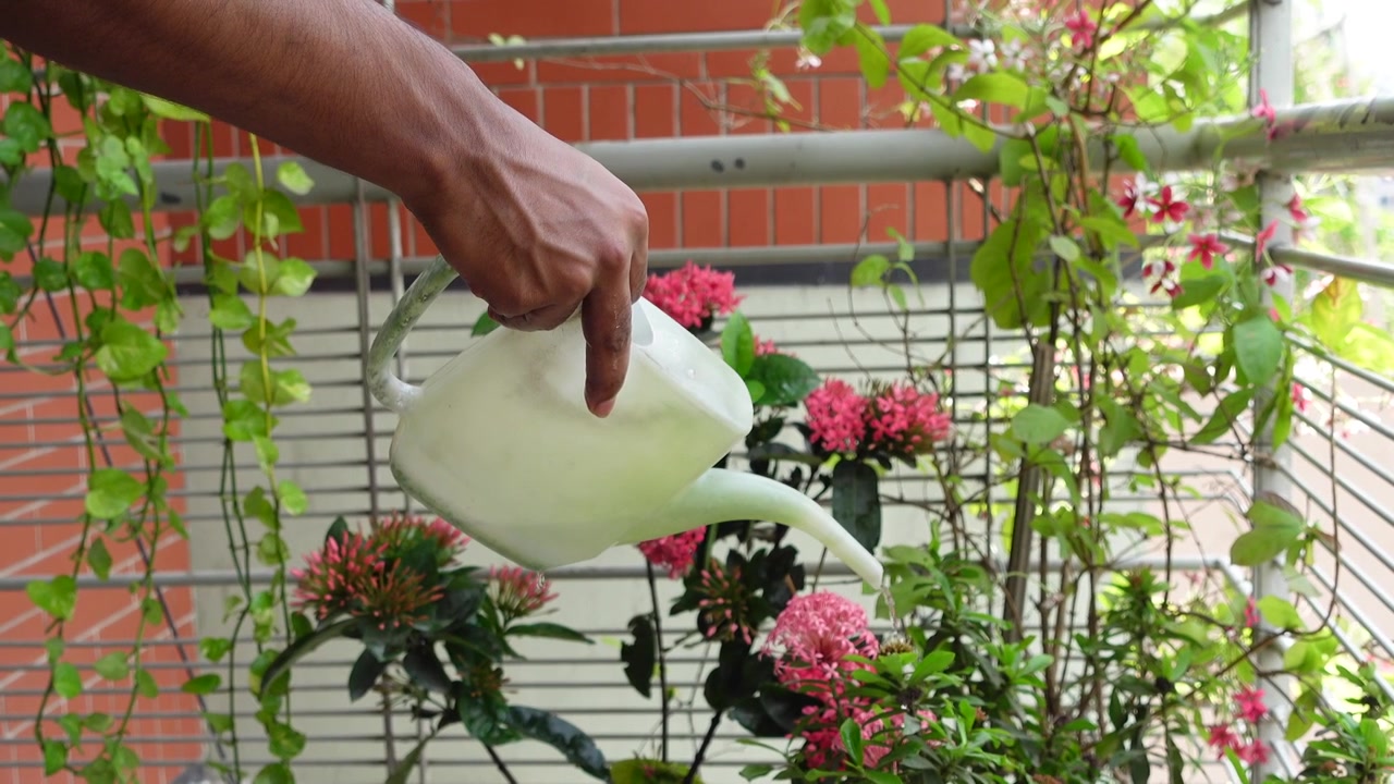 Person gießt Topfblumen auf einem Balkon