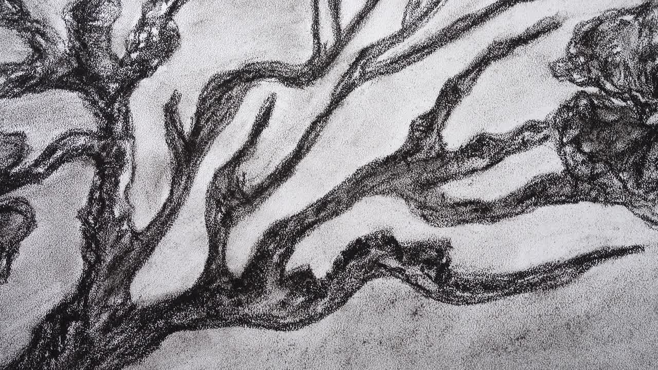 Disegno astratto di un albero. Ripresa del disegno