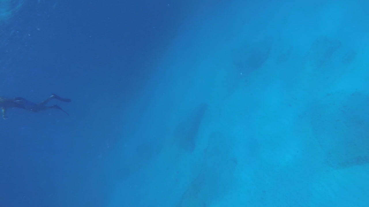 buzos en la superficie y una raya que nada en el fondo del océano