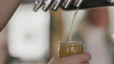 sidra dura siendo vertida en un vaso desde el grifo por el barman