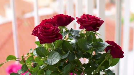 pot on the balcony with small red roses