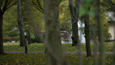 Glückliches-Verliebtes-Paar,-Das-Einen-Romantischen-Spaziergang-Mit-Freude-Und-Spaß-Im-Park-Macht.