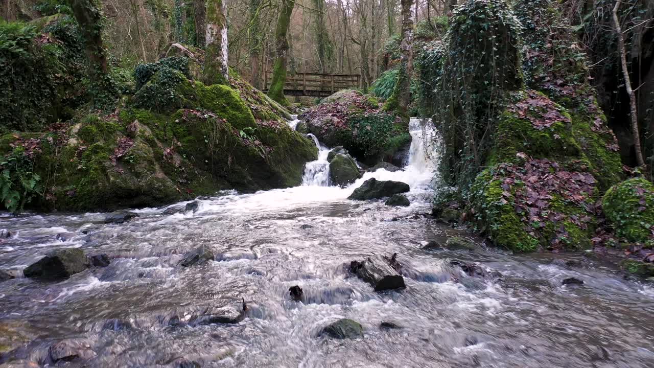 pájaro vuela sobre una cascada en normandía