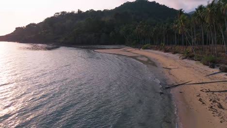 the beauty of the awesome lonely beach koh chang, small waves, palm trees and unique natural view, dolly shot forward, background footage