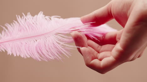 pink feather in hand