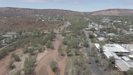 todd river surrounded by river red gum trees in northern territory, australia