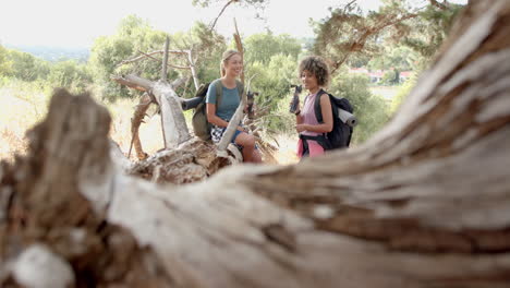 Two-women-rest-during-a-hike,-framed-by-a-weathered-tree-trunk