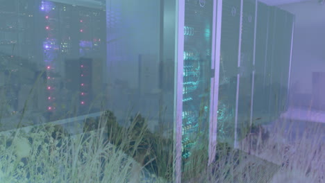 animation of cityscape and data processing and computer servers