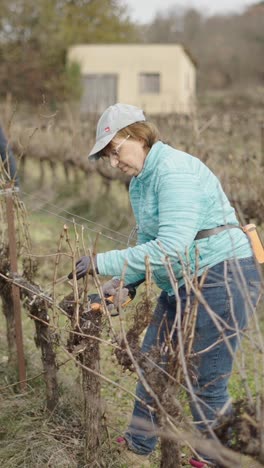 woman pruning vines in a vineyard